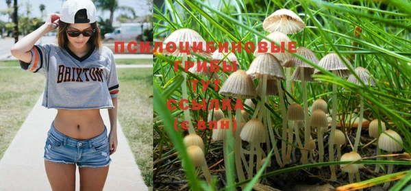MESCALINE Кодинск