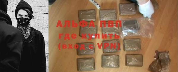 стаф Козельск