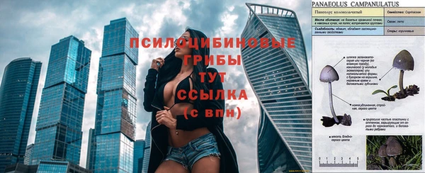 стаф Козельск