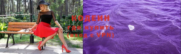 стаф Козельск