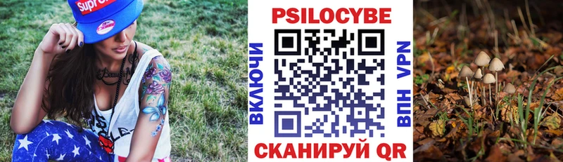 Галлюциногенные грибы мухоморы  Купить где  Закаменск 