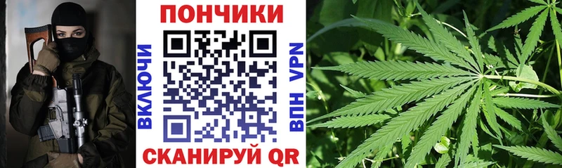 Канабис планчик  Купить  Закаменск 
